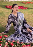 Lawn Collection - Alizeh - Sheen - Volume 2 - ALS24#23 - CALLA