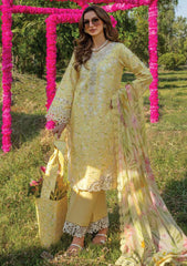 Lawn Collection - Rang Rasiya - Carnation Festive Edit - RC24#02 - RAYA