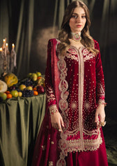 Winter Collection - Qalamkar - Velvet Edit - QV24#02 - AMARA