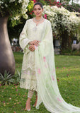 Lawn Collection - Noor - Saadia Asad - Luxe Chikankari - NSC24#11-B