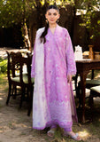 Lawn Collection - Neeshay - Summer Lines - Printkari - NP24#04 - Petal