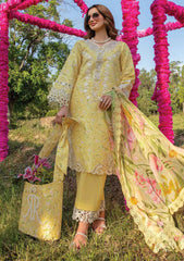 Lawn Collection - Rang Rasiya - Carnation Festive Edit - RC24#02 - RAYA