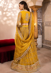 Formal Collection - Neeshay - Parinaaz - Wedding - Zareen