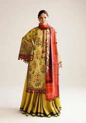 Winter Collection - Hussain Rehar - Khaddar Shawl - Ember