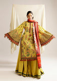 Winter Collection - Hussain Rehar - Khaddar Shawl - Ember