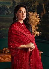 Winter Collection - Zainab Chottani - Velvet - ZCV23#05 - SURKH