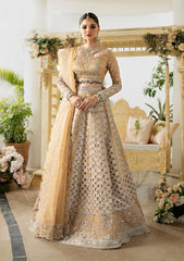 Formal Collection - Qalamkar - Dilnaz - Wedding - DN#01 - Imaan