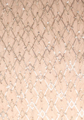 Italian Cut Dana Net With Sequence Work - FCE#435