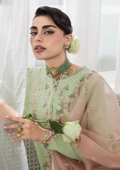 Formals - Rang Rasiya - Lumiere The Raw Silk Romance 26 - D#09 - Jazmin