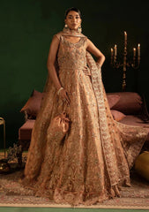 Pret - Diara Couture - Festive 25 - WC-2#06 - AYLA