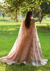 Formal Collection - Qalamkar -  Shadmani - Luxury Formals - SH#08 - Saira