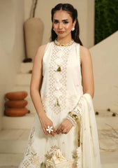 Winter - Humdum - Mushak - Embroidered Karandi - H25#02