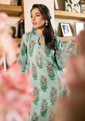 Lawn - M.basics - Eid II - Unstitched 25 - 08B