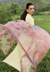 Lawn - Republic Womenswear - Lilas Summer 26 - D#05B - AMRIS