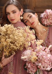 Winter - Noor by Saadia Asad - Pashmina Shawl 25 - NSP#03 - Aveline