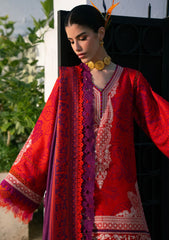 Winter - Bin ILyas - Gulrukh Khaddar 25 - BGK#65-B