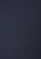 Carlo Barbera Riserva Superfine Exclusive Wool Fabric - Blue