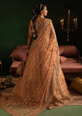 Pret - Diara Couture - Festive 25 - WC-2#06 - AYLA