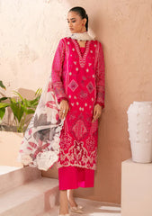Winter - Marjjan - Amani - Viscose 25 - MSV#02 A (PINK)