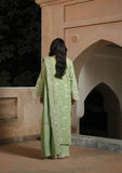 Winter Collection - MM Manara - Vintage Karandi Fall 24 - D#6 - Anaya