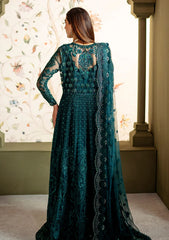 Formal Collection - Neeshay - Pari Naaz - Wedding Formals 24 - D#5 - SHAHANA