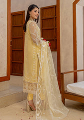 Formals - Meemsey - Elanora Organza 25 - D#11