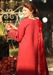 Winter - Rang Rasiya - Carnation 25 - Luxury Shawl Edit - CWD#02 - Cold Brew