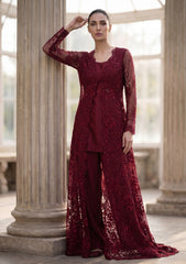 Fancy Chantilly Lace Saree - Maroon