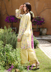 Lawn - Rang Rasiya - Lifestyle Summer 26 - V1SLD#11 - Hazel