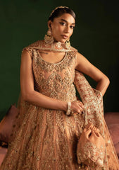 Pret - Diara Couture - Festive 25 - WC-2#06 - AYLA