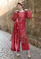 Winter - Rang Rasiya - Carnation 25 - Luxury Shawl Edit - CWD#02 - Cold Brew