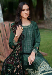 Winter - Parishay - Panache - Palachi Shawl 25 - PNE#11