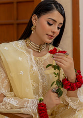 Formals - Meemsey - Elanora Organza 25 - D#11