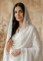 Formals - Bahawalpur Pehnawa - Georgette Chiffon - 2 piece - JC#03