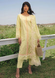 Lawn Collection - Sana Zubair - Jewels of the Meadow - SZ#03 - CITRINE