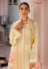 Lawn - Rajbari - Nissa Chikankari Edition S/S 25 - D#09