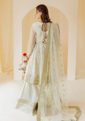 Formals - Alizeh - Chiffons - Unstitched 25 - AF-CH#2145 - Ghazal