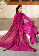 Lawn - Naqsh - Chikankari Festive 26 - D#00201 - Fuchsia Pink