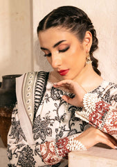 Lawn - M.basics - Eid II - Unstitched 25 - 09A