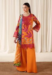 Winter - Naqsh - Zyrah 25 - D#189 - LAVA ORANGE