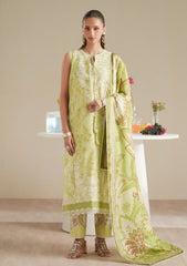 Lawn - Bin Ilyas - Jojo Summer 26 - D#86-B