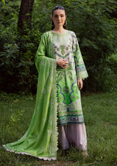 Winter - Mahnur - Gardenia - Khaddar 25 - GR#07