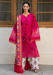 Winter - Bin ILyas - Gulrukh Khaddar 25 - BGK#66-B