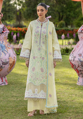 Lawn - Mahnur - Morbagh Luxury 26 - M#12