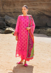 Lawn Collection - Zainab Chottani - Chikankari 24 - ZCC#6A - Laali