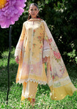 Lawn Collection - Sardinia - Cocktail - SC24#303 - DAISY