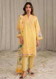 Lawn Collection - Sahar - Print Edit - 3 Pcs - S24-PL-V1-05