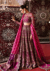 Wedding Collection - Afrozeh - Hayat - Abir - D#10