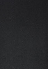 Vitale Barberis Canonico Original Flannel Wool Fabric - Black