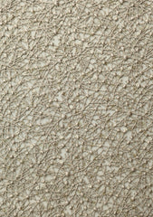 Shuttle Lace With Sequence Work - FCE#415